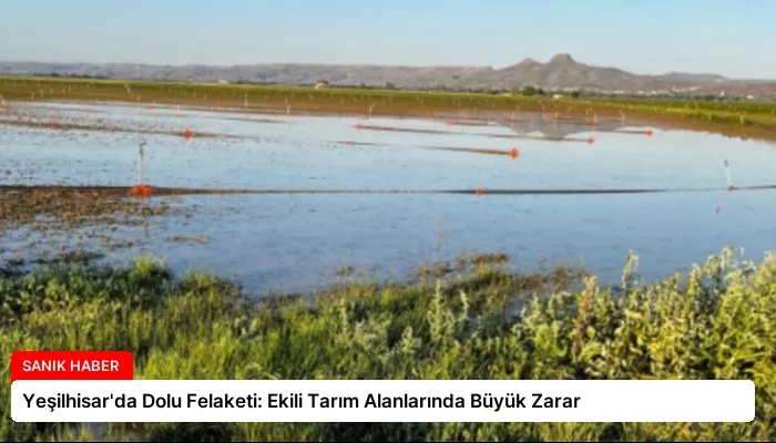 Yeşilhisar’da Dolu Felaketi: Ekili Tarım Alanlarında Büyük Zarar