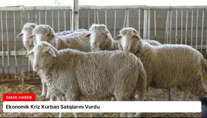 Ekonomik Kriz Kurban Satışlarını Vurdu