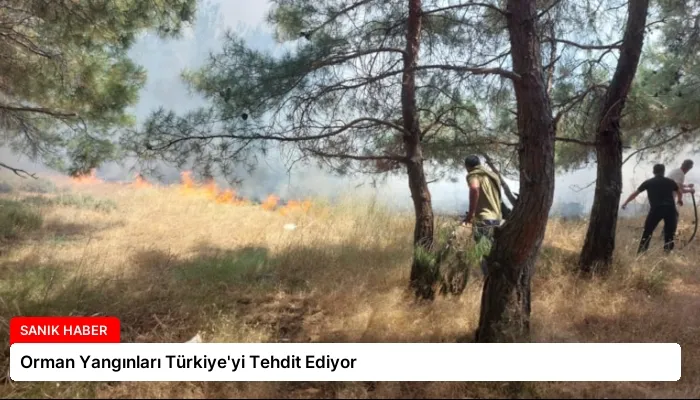 Orman Yangınları Türkiye’yi Tehdit Ediyor