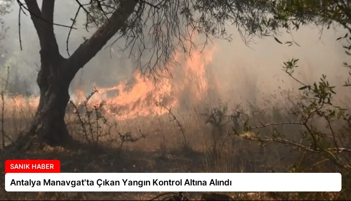 Antalya Manavgat’ta Çıkan Yangın Kontrol Altına Alındı