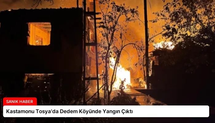 Kastamonu Tosya’da Dedem Köyünde Yangın Çıktı