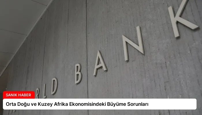 Orta Doğu ve Kuzey Afrika Ekonomisindeki Büyüme Sorunları