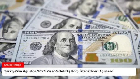 Türkiye’nin Ağustos 2024 Kısa Vadeli Dış Borç İstatistikleri Açıklandı