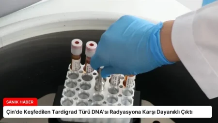 Çin’de Keşfedilen Tardigrad Türü DNA’sı Radyasyona Karşı Dayanıklı Çıktı