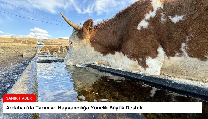 Ardahan’da Tarım ve Hayvancılığa Yönelik Büyük Destek