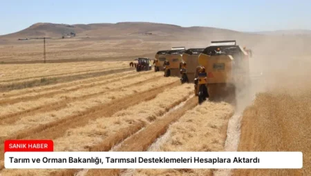 Tarım ve Orman Bakanlığı, Tarımsal Desteklemeleri Hesaplara Aktardı