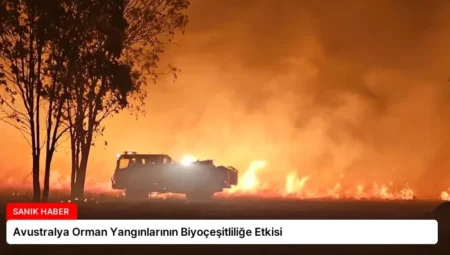 Avustralya Orman Yangınlarının Biyoçeşitliliğe Etkisi