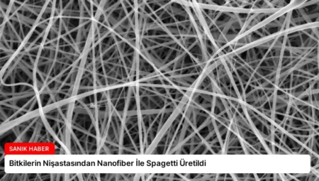 Bitkilerin Nişastasından Nanofiber İle Spagetti Üretildi