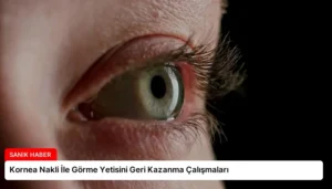 Kornea Nakli İle Görme Yetisini Geri Kazanma Çalışmaları