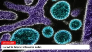 Norovirüs Salgını ve Korunma Yolları