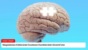 Magdalenian Kültüründe İncelenen Kemiklerdeki Gizemli İzler