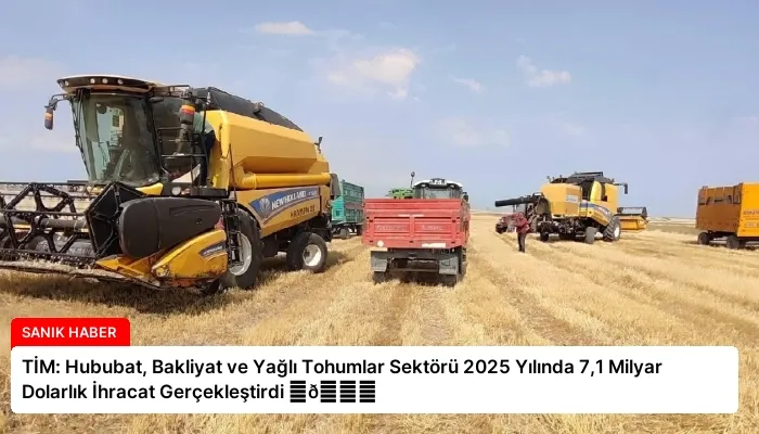 TİM: Hububat, Bakliyat ve Yağlı Tohumlar Sektörü 2025 Yılında 7,1 Milyar Dolarlık İhracat Gerçekleştirdi ⏬👇