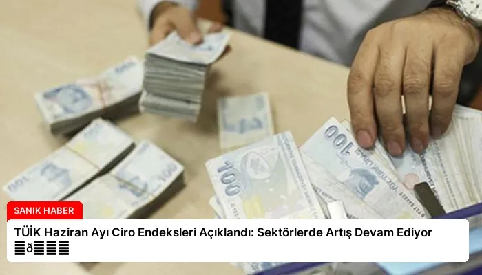TÜİK Haziran Ayı Ciro Endeksleri Açıklandı: Sektörlerde Artış Devam Ediyor ⏬👇