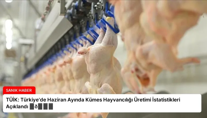 TÜİK: Türkiye’de Haziran Ayında Kümes Hayvancılığı Üretimi İstatistikleri Açıklandı ⏬👇