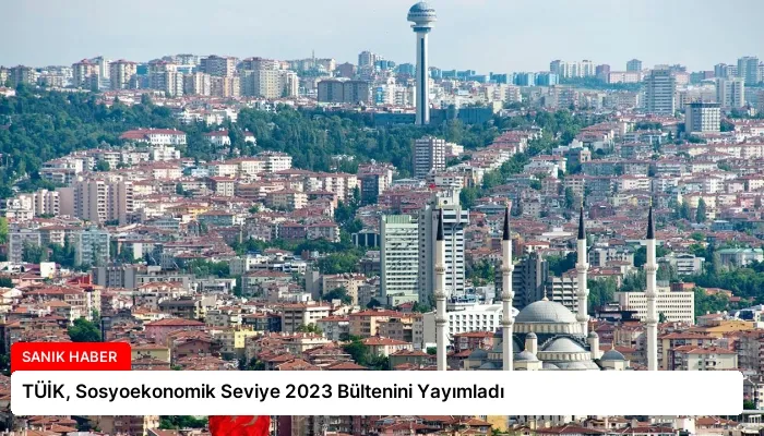 TÜİK, Sosyoekonomik Seviye 2023 Bültenini Yayımladı