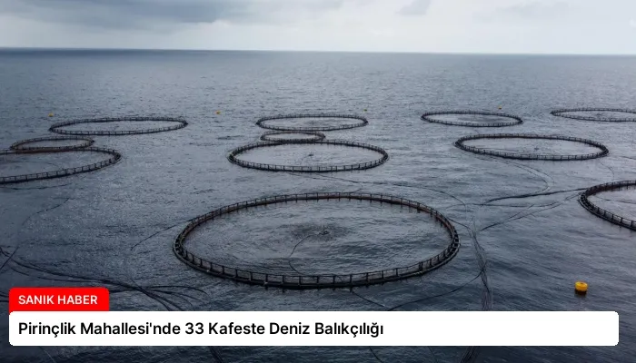 Pirinçlik Mahallesi’nde 33 Kafeste Deniz Balıkçılığı