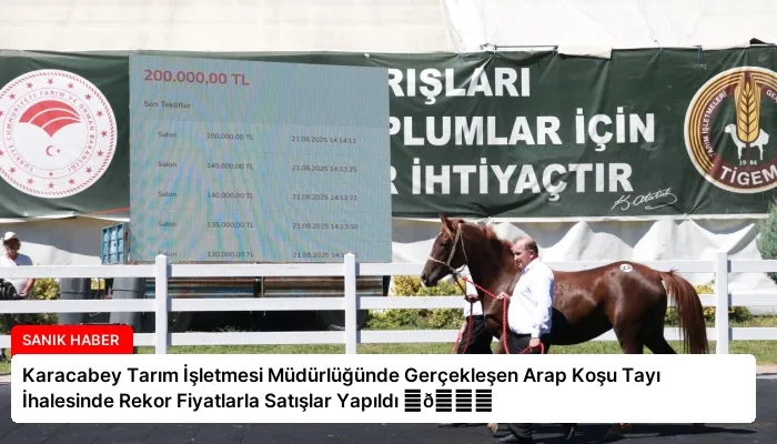 Karacabey Tarım İşletmesi Müdürlüğünde Gerçekleşen Arap Koşu Tayı İhalesinde Rekor Fiyatlarla Satışlar Yapıldı ⏬👇