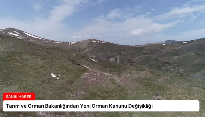Tarım ve Orman Bakanlığından Yeni Orman Kanunu Değişikliği