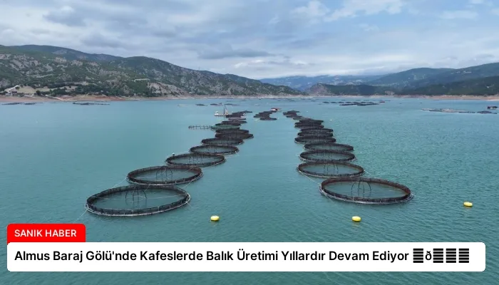 Almus Baraj Gölü’nde Kafeslerde Balık Üretimi Yıllardır Devam Ediyor ⏬👇