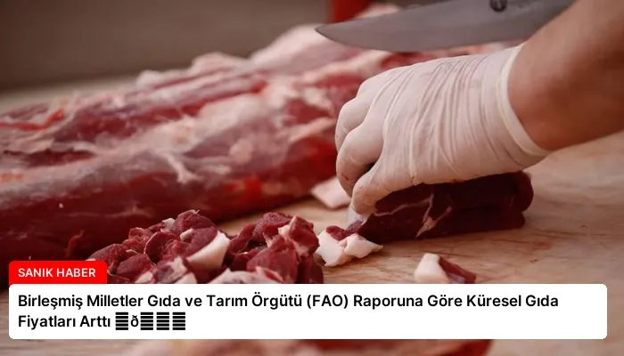 Birleşmiş Milletler Gıda ve Tarım Örgütü (FAO) Raporuna Göre Küresel Gıda Fiyatları Arttı ⏬👇