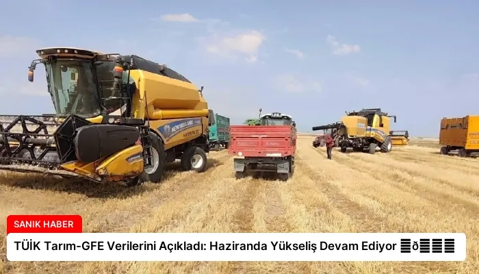 TÜİK Tarım-GFE Verilerini Açıkladı: Haziranda Yükseliş Devam Ediyor ⏬👇