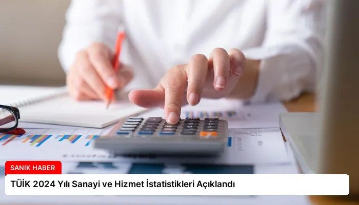 TÜİK 2024 Yılı Sanayi ve Hizmet İstatistikleri Açıklandı