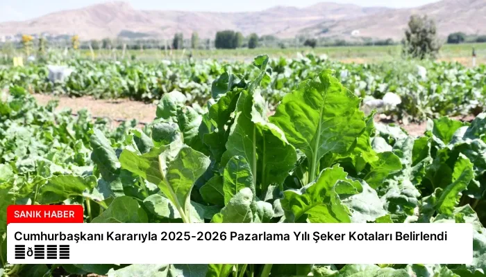 Cumhurbaşkanı Kararıyla 2025-2026 Pazarlama Yılı Şeker Kotaları Belirlendi ⏬👇