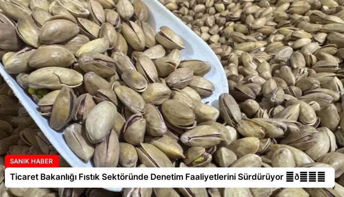 Ticaret Bakanlığı Fıstık Sektöründe Denetim Faaliyetlerini Sürdürüyor ⏬👇