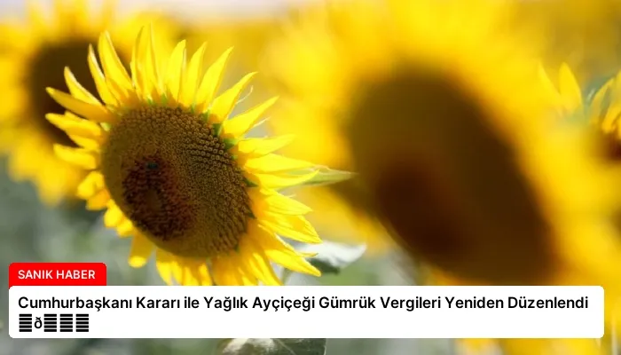 Cumhurbaşkanı Kararı ile Yağlık Ayçiçeği Gümrük Vergileri Yeniden Düzenlendi ⏬👇