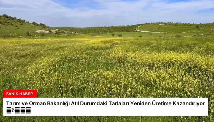 Tarım ve Orman Bakanlığı Atıl Durumdaki Tarlaları Yeniden Üretime Kazandırıyor ⏬👇