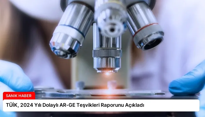 TÜİK, 2024 Yılı Dolaylı AR-GE Teşvikleri Raporunu Açıkladı