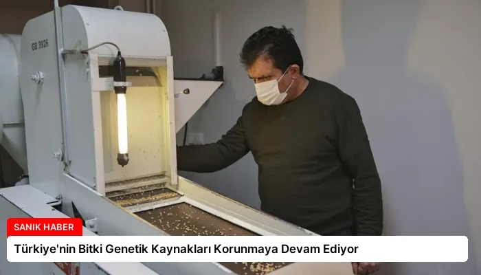 Türkiye’nin Bitki Genetik Kaynakları Korunmaya Devam Ediyor