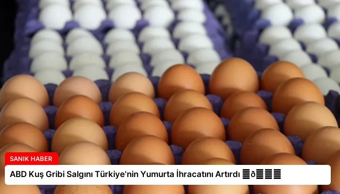 ABD Kuş Gribi Salgını Türkiye’nin Yumurta İhracatını Artırdı ⏬👇