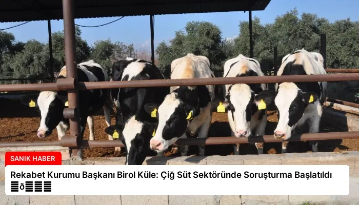 Rekabet Kurumu Başkanı Birol Küle: Çiğ Süt Sektöründe Soruşturma Başlatıldı ⏬👇