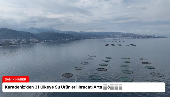 Karadeniz’den 31 Ülkeye Su Ürünleri İhracatı Arttı ⏬👇