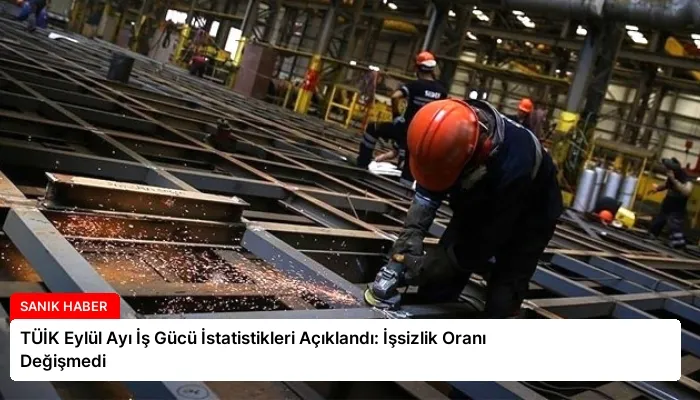 TÜİK Eylül Ayı İş Gücü İstatistikleri Açıklandı: İşsizlik Oranı Değişmedi