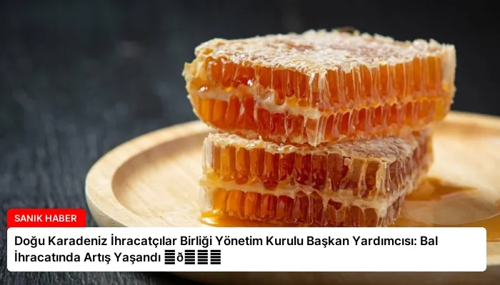 Doğu Karadeniz İhracatçılar Birliği Yönetim Kurulu Başkan Yardımcısı: Bal İhracatında Artış Yaşandı ⏬👇