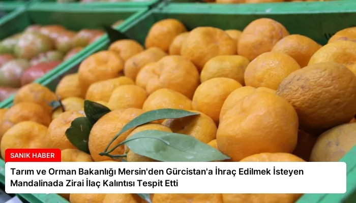 Tarım ve Orman Bakanlığı Mersin’den Gürcistan’a İhraç Edilmek İsteyen Mandalinada Zirai İlaç Kalıntısı Tespit Etti