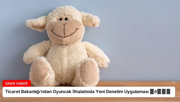Ticaret Bakanlığı’ndan Oyuncak İthalatında Yeni Denetim Uygulaması ⏬👇