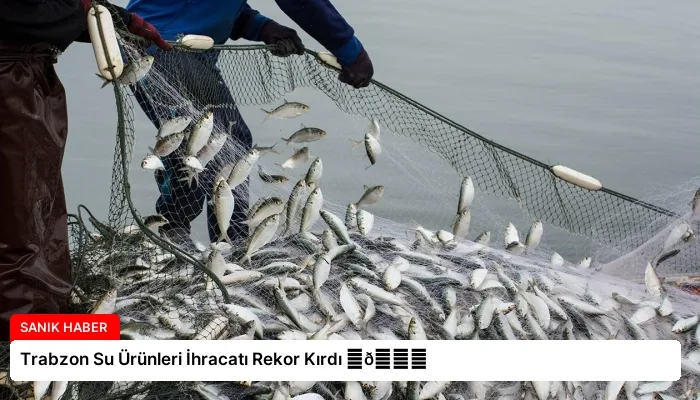 Trabzon Su Ürünleri İhracatı Rekor Kırdı ⏬👇