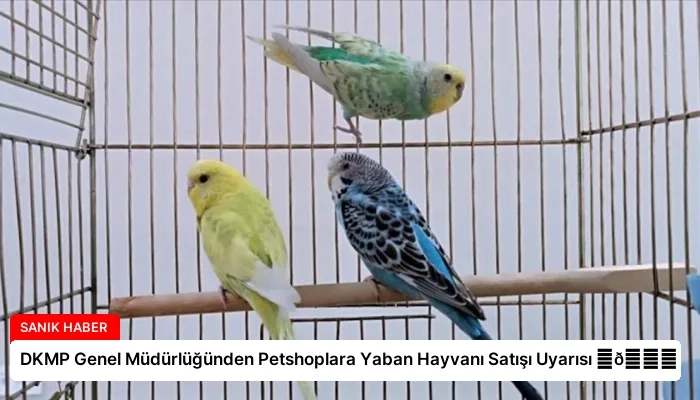 DKMP Genel Müdürlüğünden Petshoplara Yaban Hayvanı Satışı Uyarısı ⏬👇