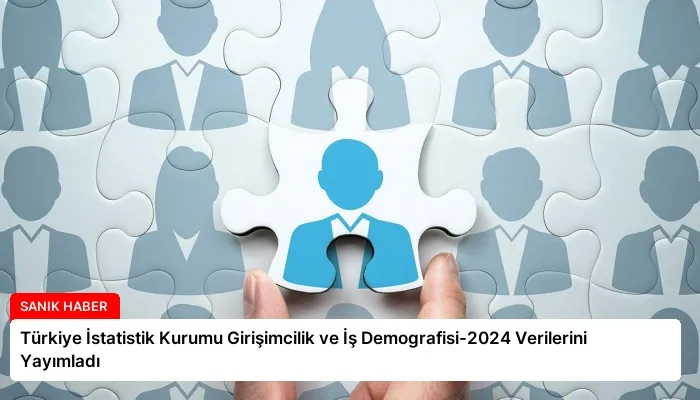 Türkiye İstatistik Kurumu Girişimcilik ve İş Demografisi-2024 Verilerini Yayımladı
