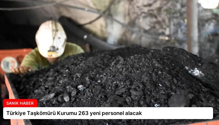 Türkiye Taşkömürü Kurumu 263 yeni personel alacak