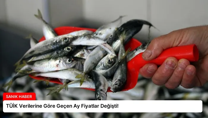TÜİK Verilerine Göre Geçen Ay Fiyatlar Değişti!