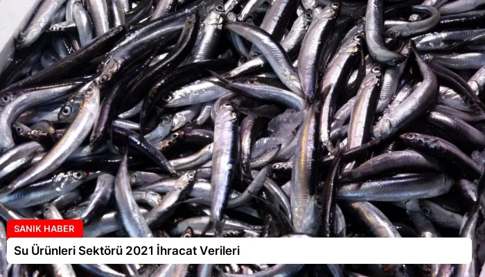 Su Ürünleri Sektörü 2021 İhracat Verileri