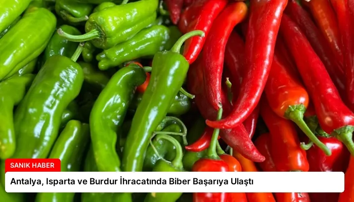 Antalya, Isparta ve Burdur İhracatında Biber Başarıya Ulaştı