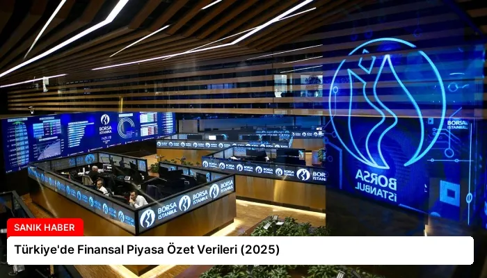 Türkiye’de Finansal Piyasa Özet Verileri (2025)