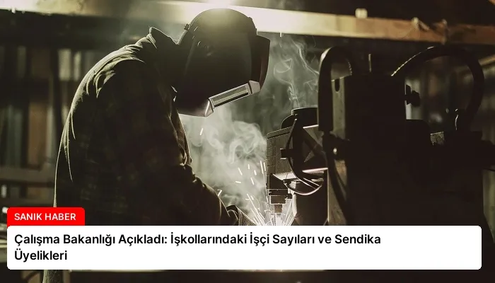 Çalışma Bakanlığı Açıkladı: İşkollarındaki İşçi Sayıları ve Sendika Üyelikleri