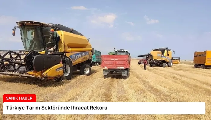 Türkiye Tarım Sektöründe İhracat Rekoru