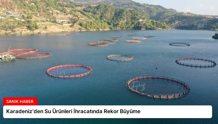 Karadeniz’den Su Ürünleri İhracatında Rekor Büyüme